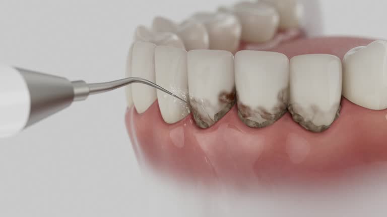 Reliable Dental contractor in Golden Gate, FL by Dentist Open Now